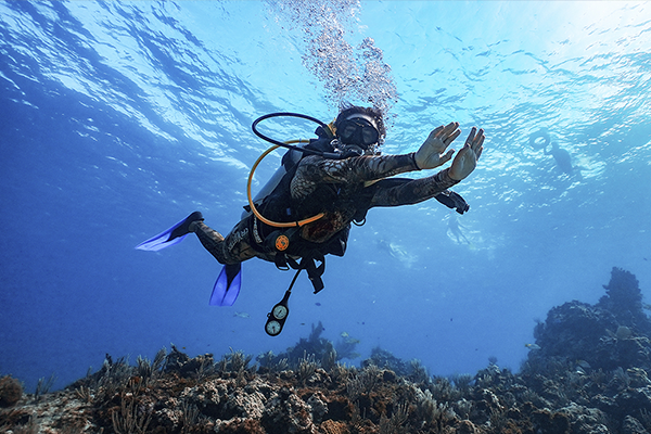 Snorkel at Underwater Museum Musa & Manchones Reef